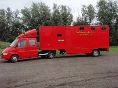 Mercedes sprinter paardenwagen te koop #3